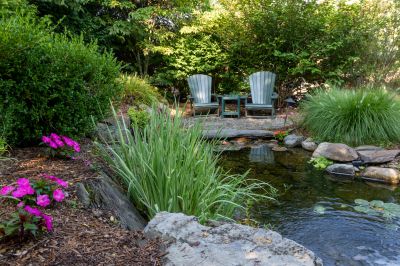 Pond Cleaning