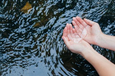 Remove Debris Like Leaves and Twigs From Your Pond